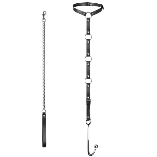 Anal Hooks Kinky Hook Leash and with EverydayUse 5853 Anal Collar 0816
